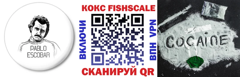 Cocaine FishScale  Купить закладки  Усолье 