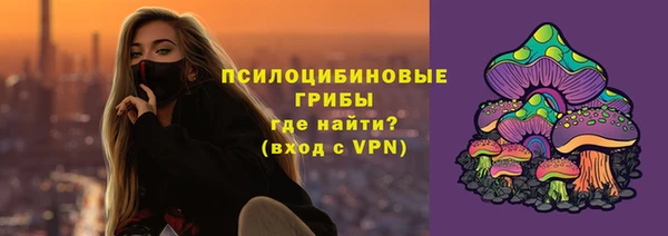 стафф Чердынь