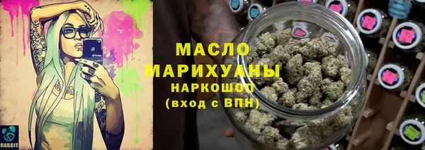 индика Заволжск